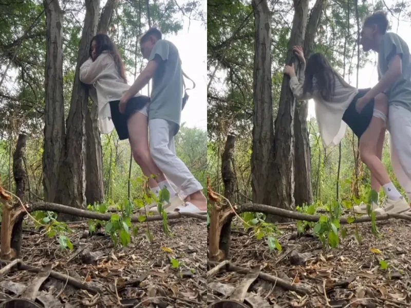 Mây mưa thổi kèn trong rừng cùng gấu xinh vừa sợ vừa phê